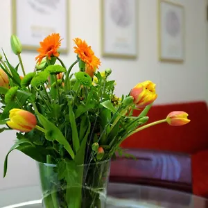  Apartamento Filarmonico12